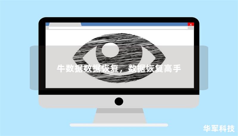 牛数据数据恢复,数据恢复高手 牛数据数据恢复,数据恢复高手