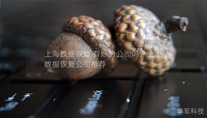 上海数据恢复 有好的公司吗,上海数据恢复公司推荐 上海数据恢复 有好的公司吗,上海数据恢复公司推荐