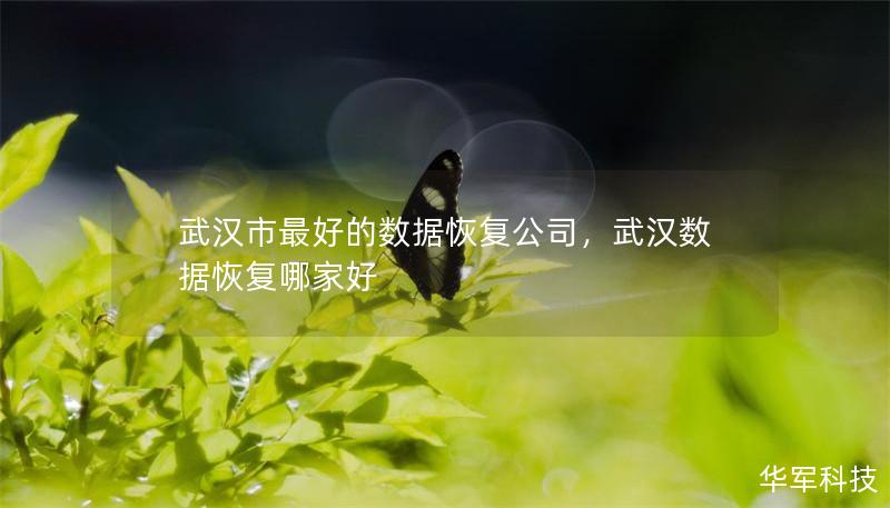 武汉市最好的数据恢复公司,武汉数据恢复哪家好 武汉市最好的数据恢复公司,武汉数据恢复哪家好