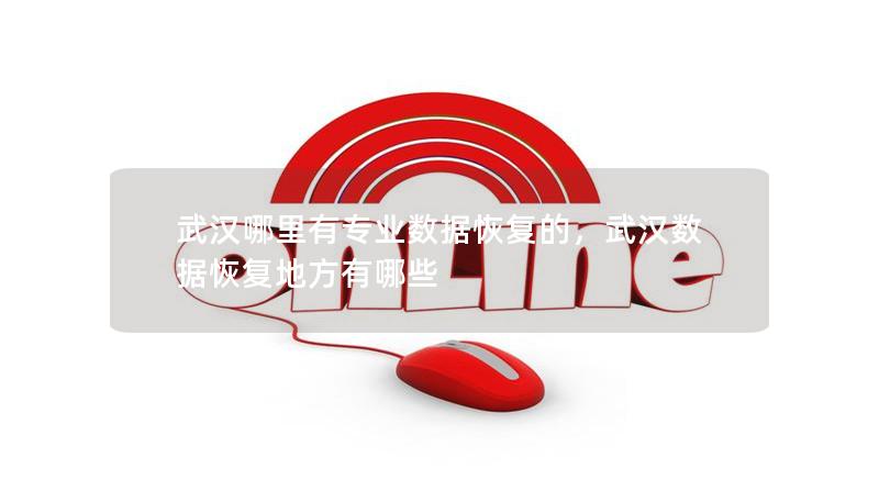 武汉哪里有专业数据恢复的,武汉数据恢复地方有哪些 武汉哪里有专业数据恢复的,武汉数据恢复地方有哪些