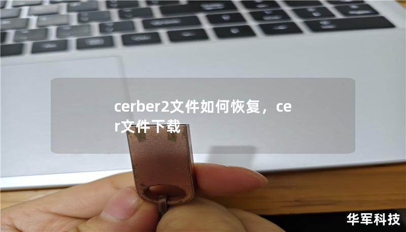 cerber2文件如何恢复,cer文件下载 cerber2文件如何恢复,cer文件下载