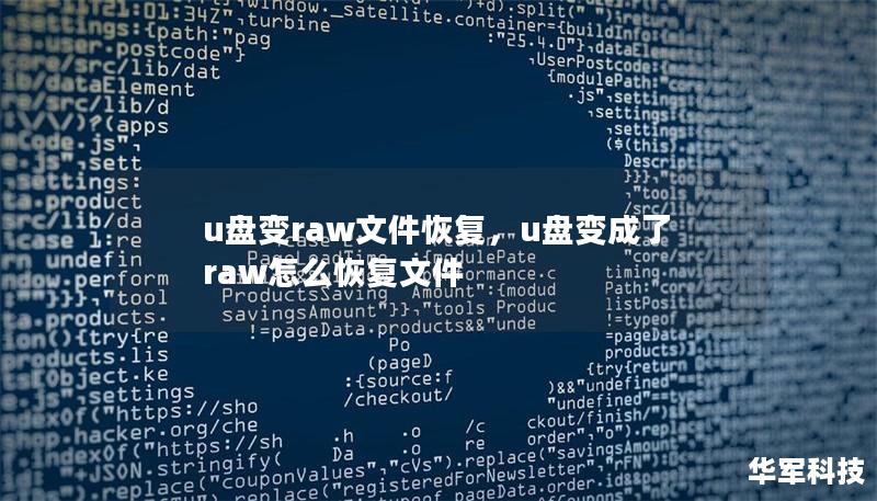 u盘变raw文件恢复，u盘变成了raw怎么恢复文件