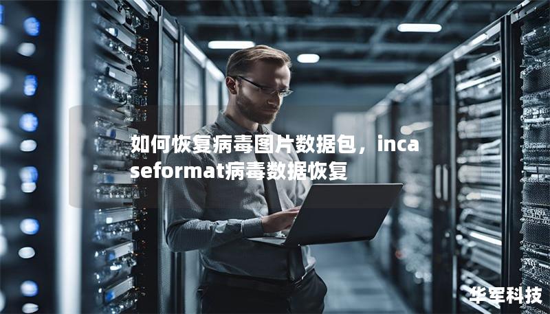 如何恢复病毒图片数据包,incaseformat病毒数据恢复 如何恢复病毒图片数据包,incaseformat病毒数据恢复