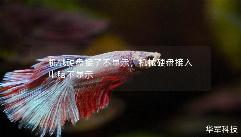 机械硬盘接了不显示，机械硬盘接入电脑不显示