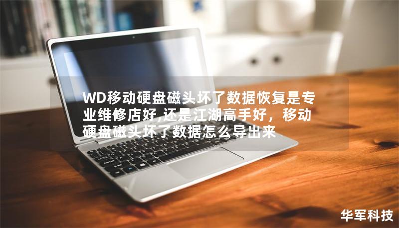 WD移动硬盘磁头坏了数据恢复是专业维修店好,还是江湖高手好,移动硬盘磁头坏了数据怎么导出来 WD移动硬盘磁头坏了数据恢复是专业维修店好,还是江湖高手好,移动硬盘磁头坏了数据怎么导出来