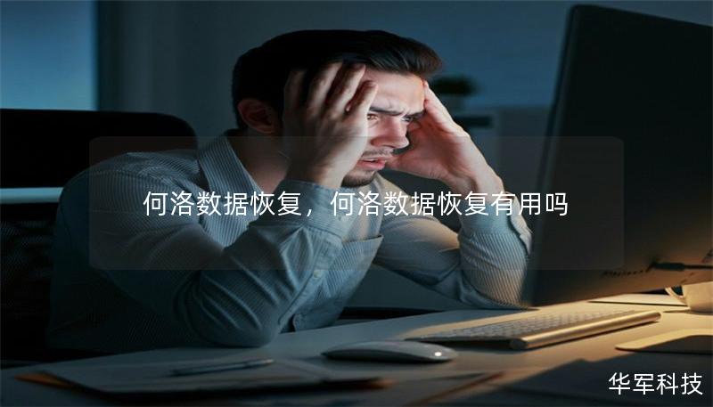 何洛数据恢复，何洛数据恢复有用吗