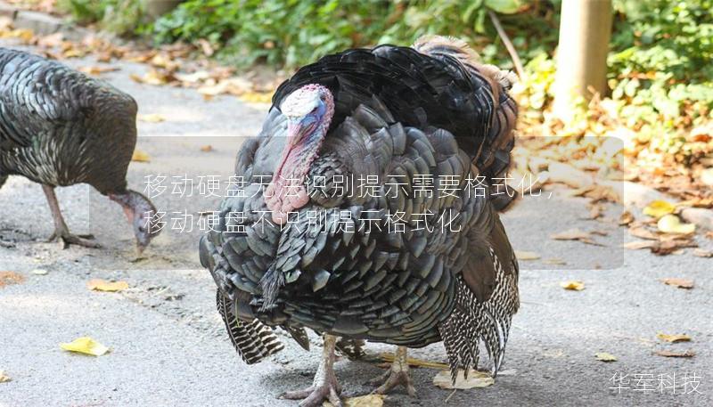 移动硬盘无法识别提示需要格式化,移动硬盘不识别提示格式化 移动硬盘无法识别提示需要格式化,移动硬盘不识别提示格式化