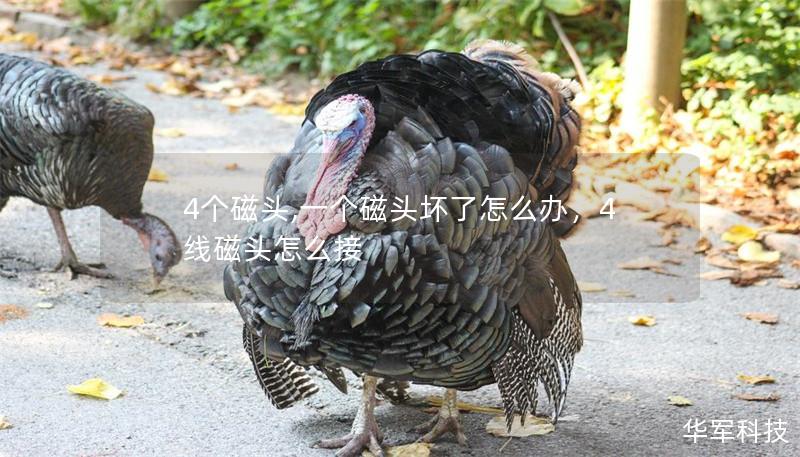 4个磁头,一个磁头坏了怎么办,4线磁头怎么接 4个磁头,一个磁头坏了怎么办,4线磁头怎么接