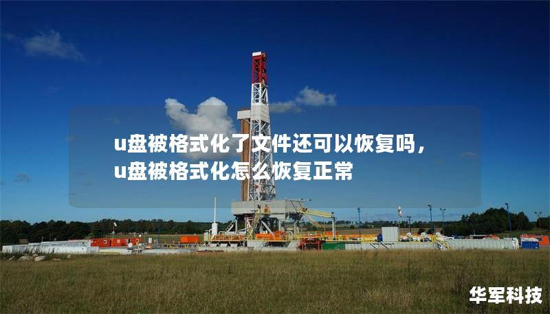 u盘被格式化了文件还可以恢复吗，u盘被格式化怎么恢复正常