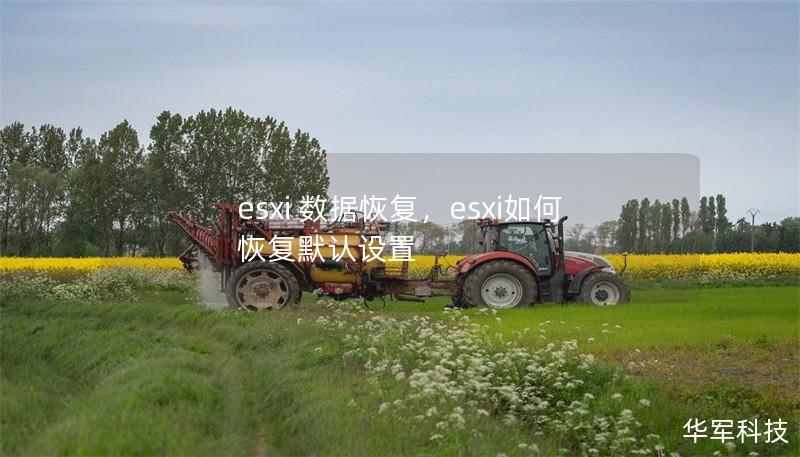 esxi 数据恢复，esxi如何恢复默认设置
