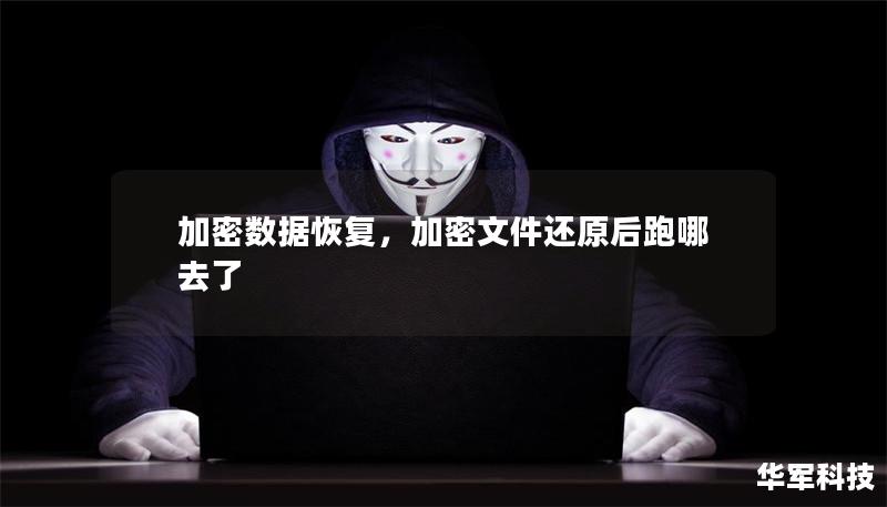 加密数据恢复,加密文件还原后跑哪去了 加密数据恢复,加密文件还原后跑哪去了