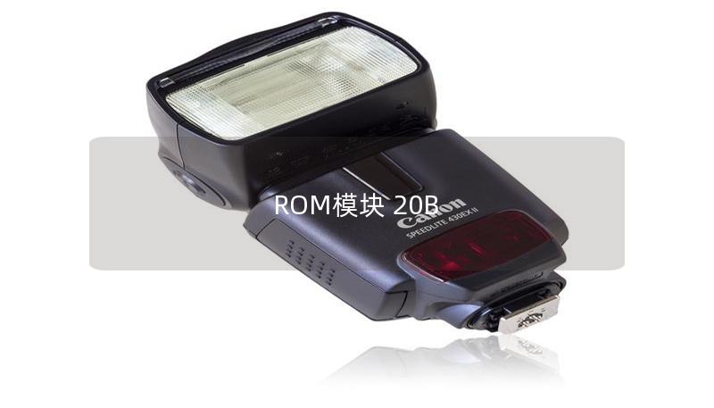 ROM模块 20B ROM模块 20B