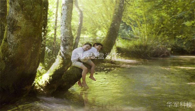 电脑硬盘没了