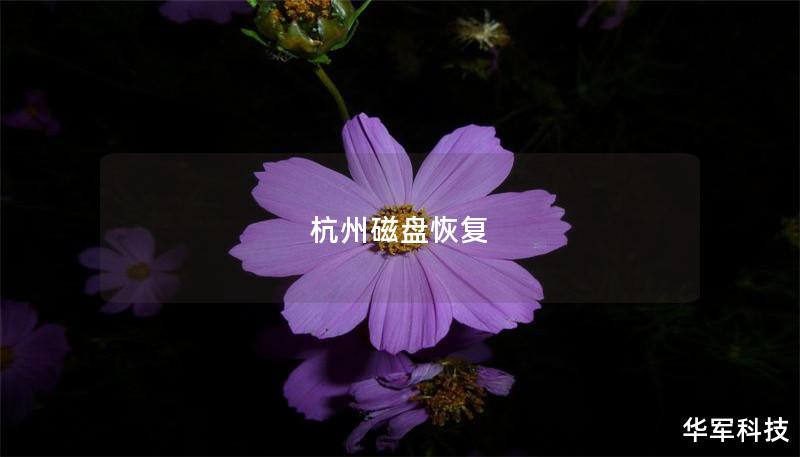 杭州磁盘恢复 杭州磁盘恢复