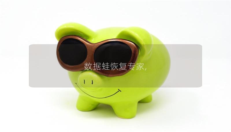 数据蛙恢复专家, 数据蛙恢复专家,