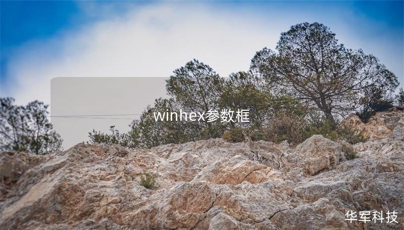 winhex参数框 winhex参数框