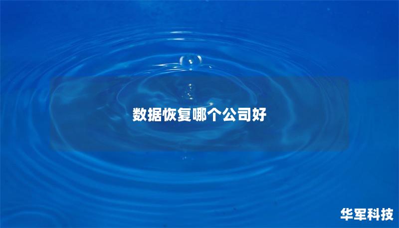 数据恢复哪个公司好 数据恢复哪个公司好