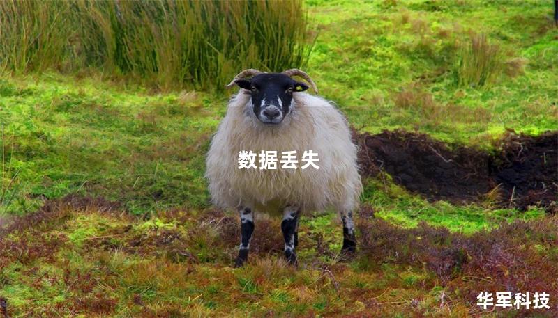 数据丢失 数据丢失