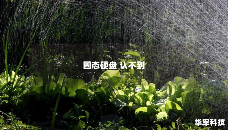 固态硬盘 认不到 固态硬盘 认不到