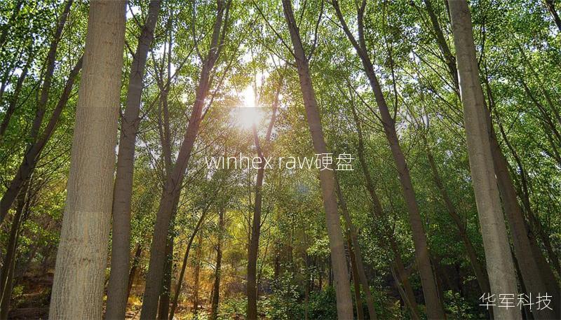winhex raw硬盘 winhex raw硬盘
