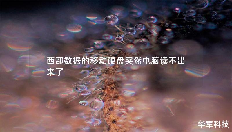 西部数据的移动硬盘突然电脑读不出来了 西部数据的移动硬盘突然电脑读不出来了