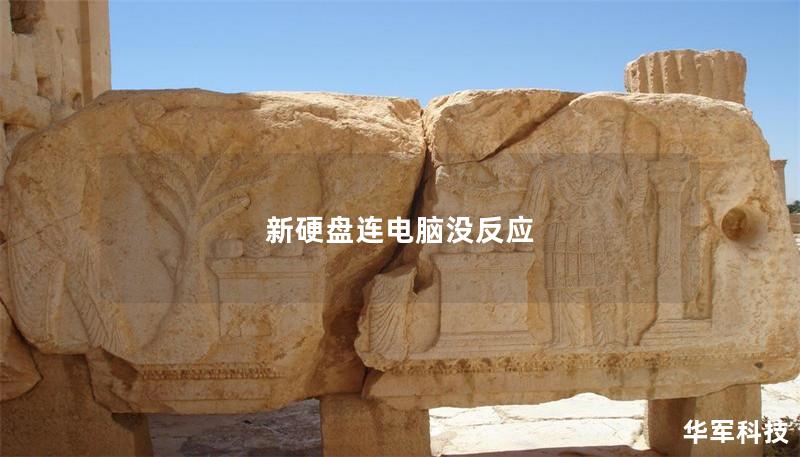 新硬盘连电脑没反应