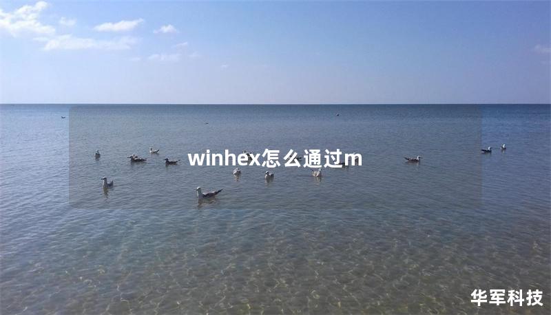 winhex怎么通过m winhex怎么通过m