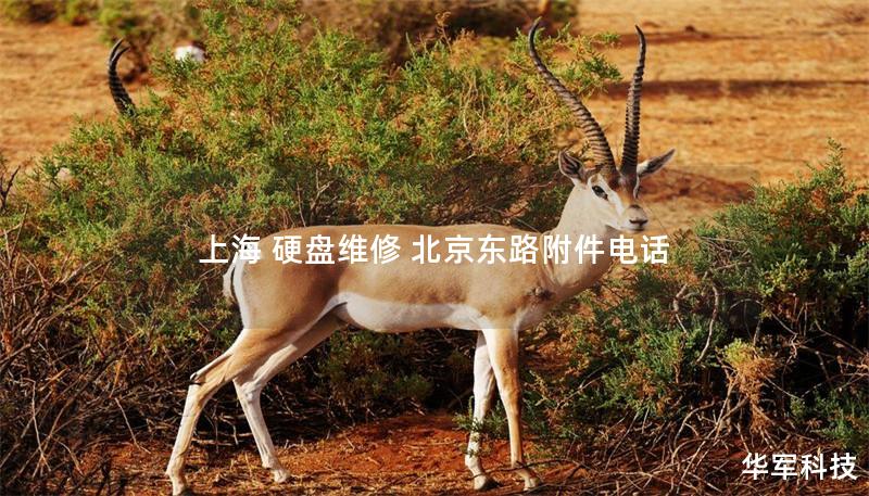 上海 硬盘维修 北京东路附件电话 上海 硬盘维修 北京东路附件电话