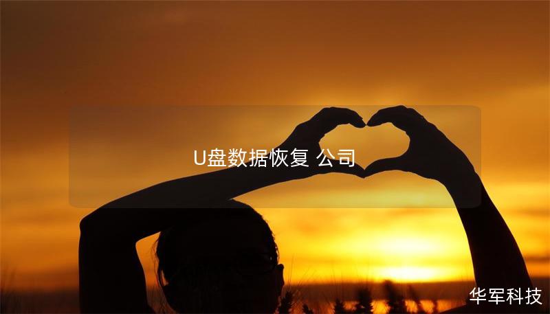 U盘数据恢复 公司
