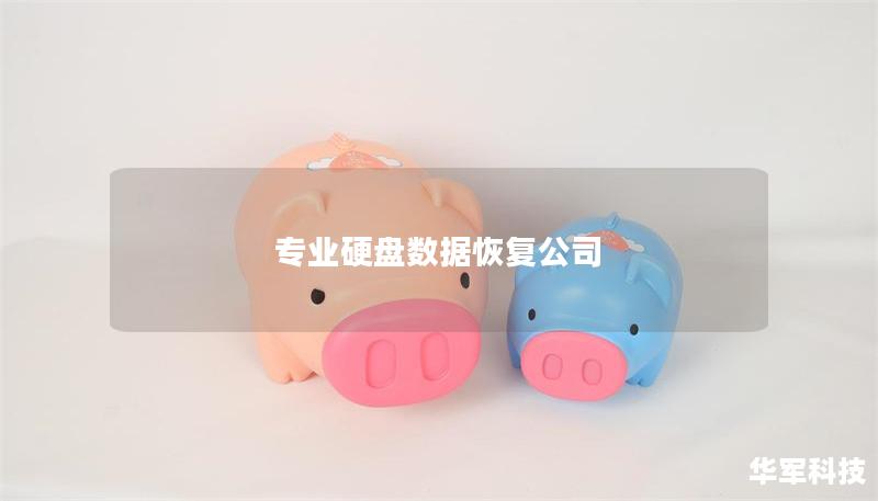 专业硬盘数据恢复公司 专业硬盘数据恢复公司