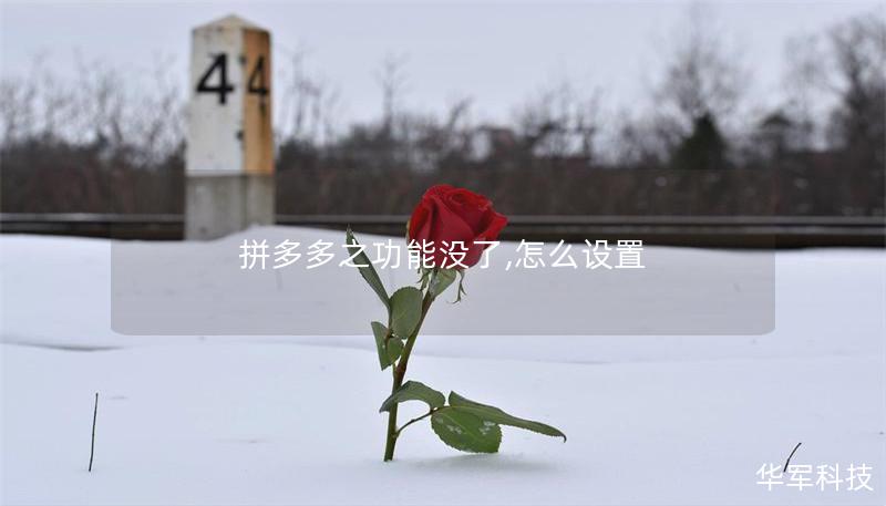 拼多多之功能没了,怎么设置