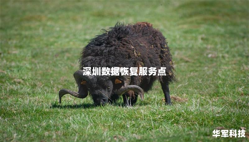 深圳数据恢复服务点