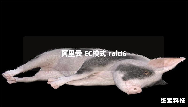 阿里云 EC模式 raid6 阿里云 EC模式 raid6