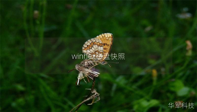 winhex磁盘快照 winhex磁盘快照