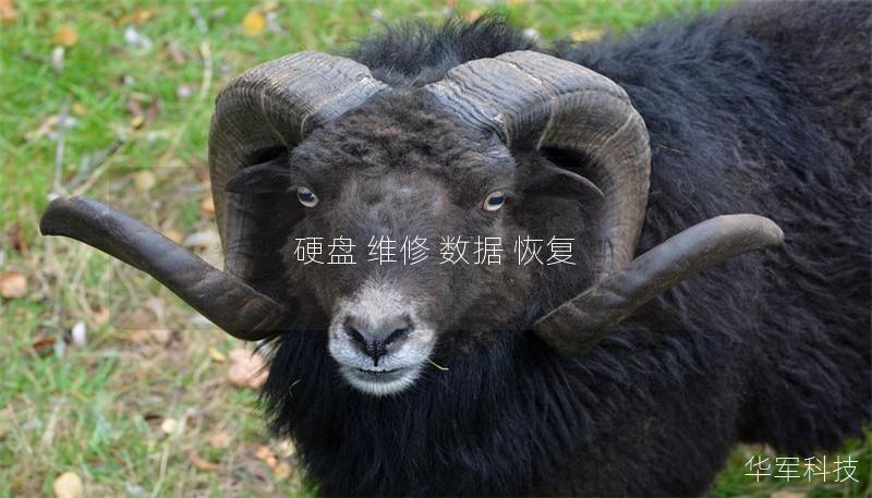 硬盘 维修 数据 恢复 硬盘 维修 数据 恢复