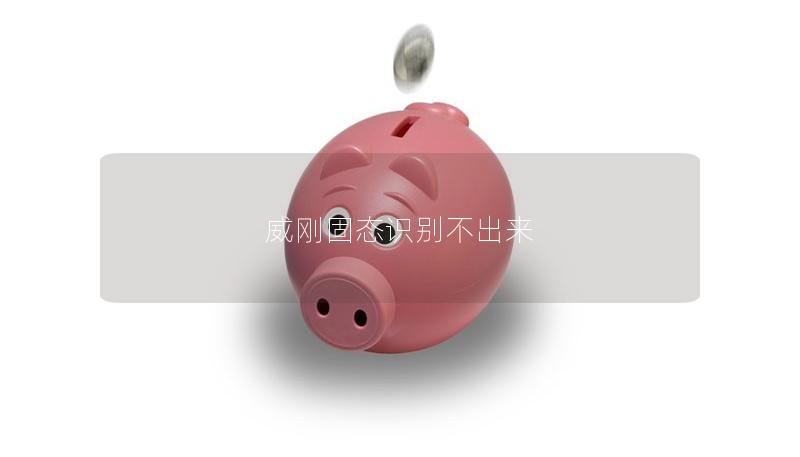 威刚固态识别不出来