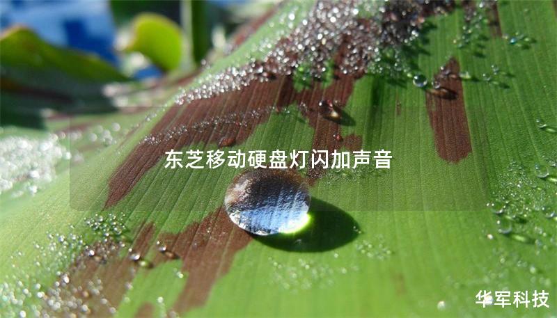 东芝移动硬盘灯闪加声音 东芝移动硬盘灯闪加声音