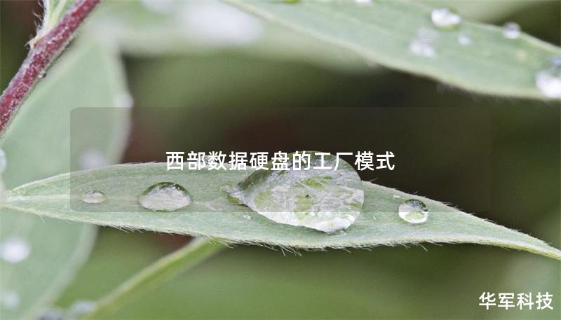 西部数据硬盘的工厂模式 西部数据硬盘的工厂模式