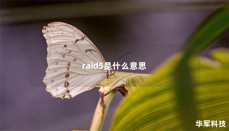 raid5是什么意思 raid5是什么意思