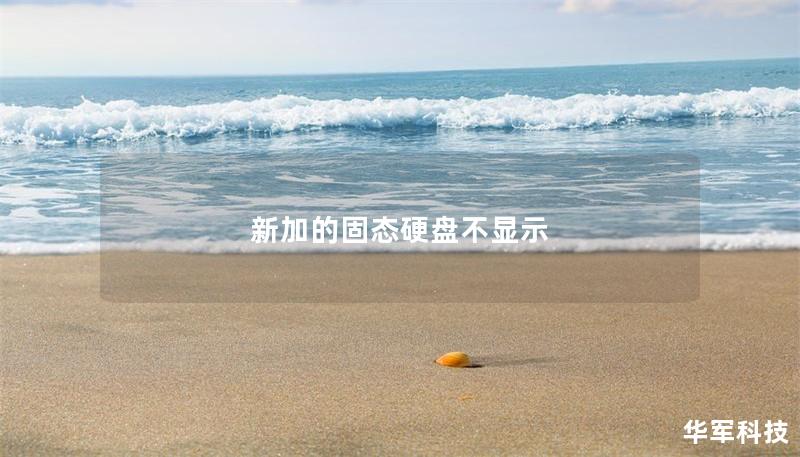 新加的固态硬盘不显示