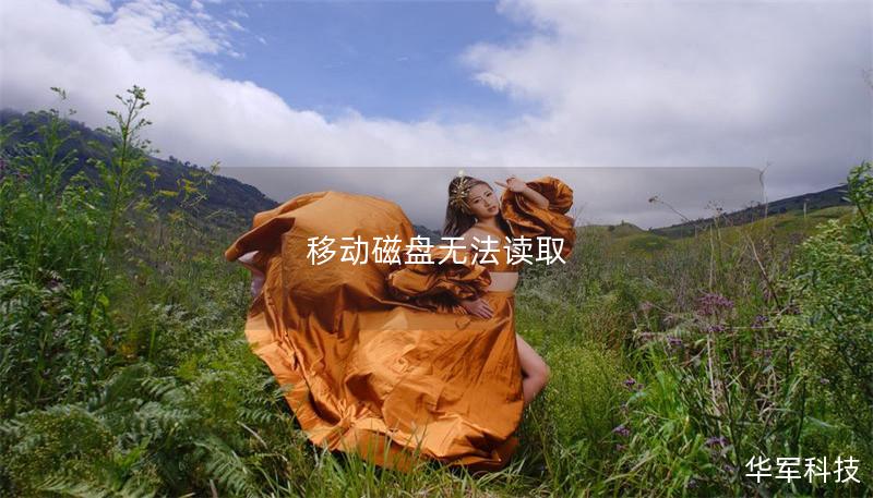 移动磁盘无法读取 移动磁盘无法读取