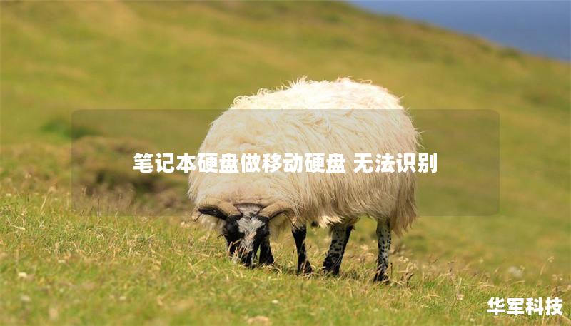 笔记本硬盘做移动硬盘 无法识别 笔记本硬盘做移动硬盘 无法识别