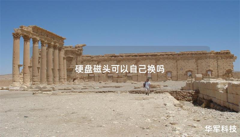 硬盘磁头可以自己换吗 硬盘磁头可以自己换吗