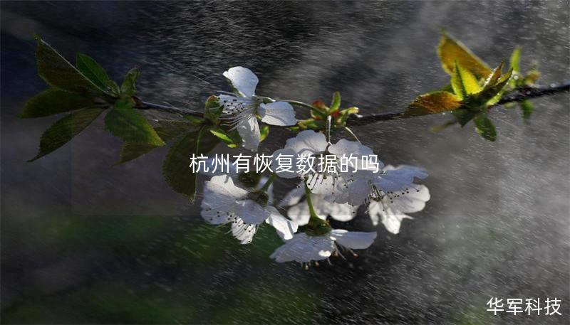 杭州有恢复数据的吗