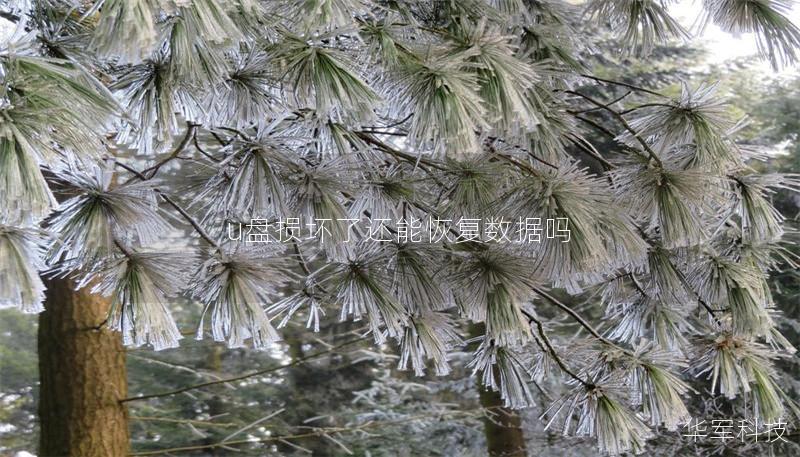 u盘损坏了还能恢复数据吗