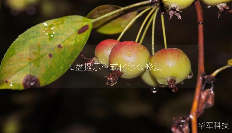 u盘提示格式化怎么修复 u盘提示格式化怎么修复