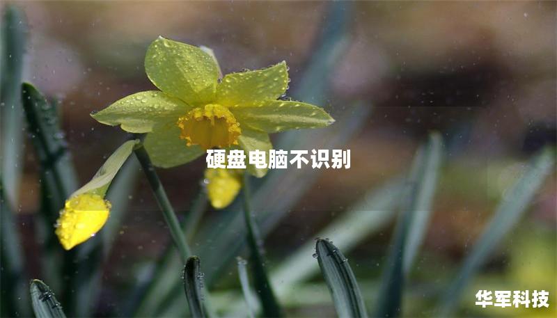 硬盘电脑不识别 硬盘电脑不识别