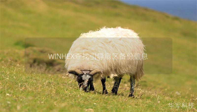 WINHEX查找引导扇区备份信息 WINHEX查找引导扇区备份信息