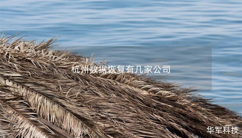 杭州数据恢复有几家公司