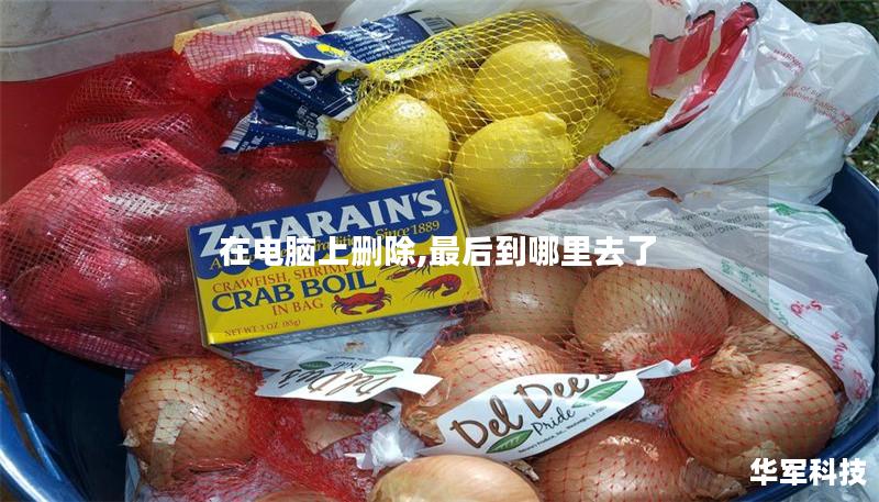 在电脑上删除,最后到哪里去了 在电脑上删除,最后到哪里去了